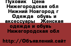 Пуховик › Цена ­ 2 500 - Нижегородская обл., Нижний Новгород г. Одежда, обувь и аксессуары » Женская одежда и обувь   . Нижегородская обл.